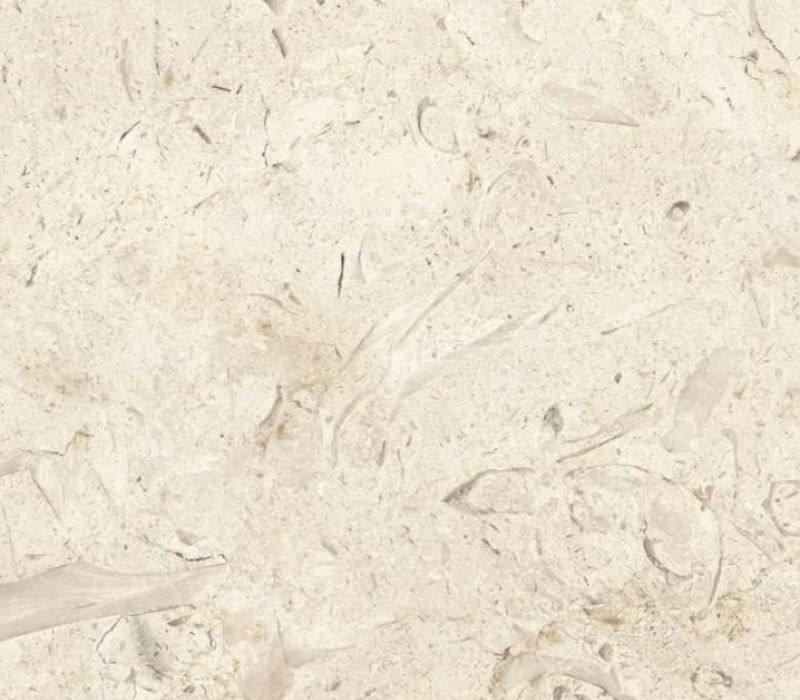 Lichen Limestone (Khatmia) (bone colored
Limestone with
fossils