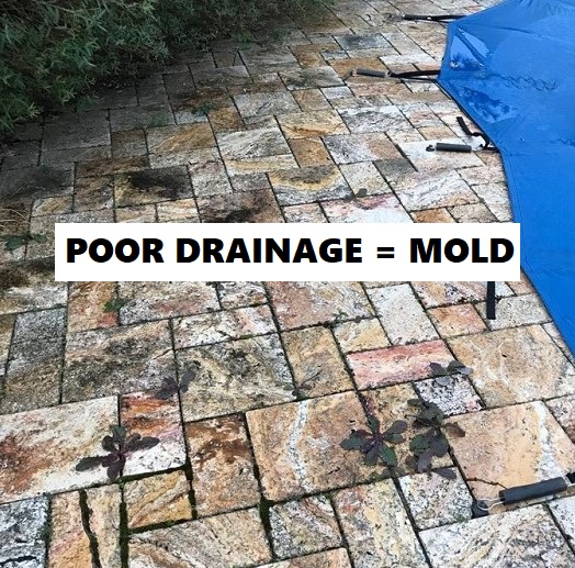 Poor water drainage equals mold on pavers