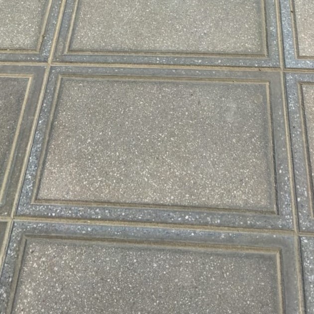 Grey square pavers (polished border, sandblasted field)