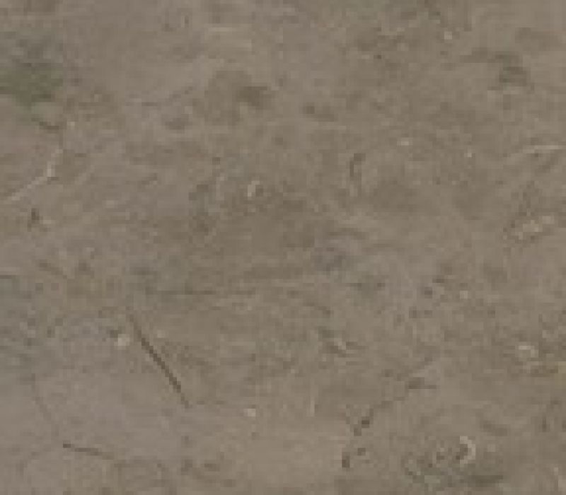 SILVERBACK Limestone™
(dark grey and silver)