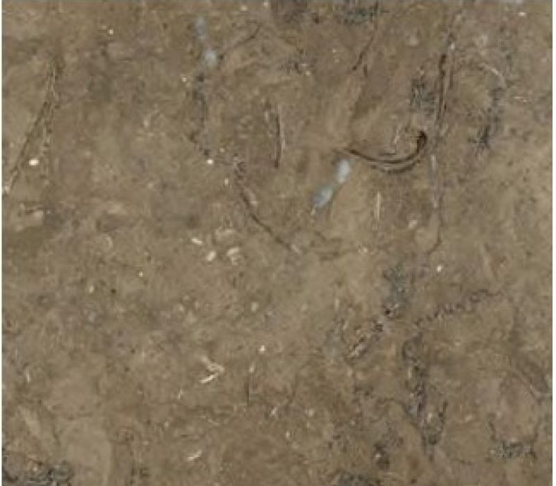 BOLETUS 
Limestone 
(Brown and taupe 
Limestone) 